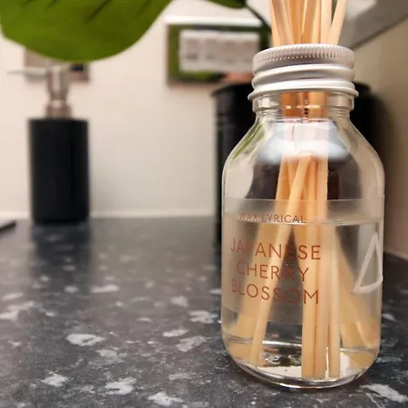 Apartment Brandon Hill Villa By Staybc - Please Note There Is No Wifi Currently Bristol